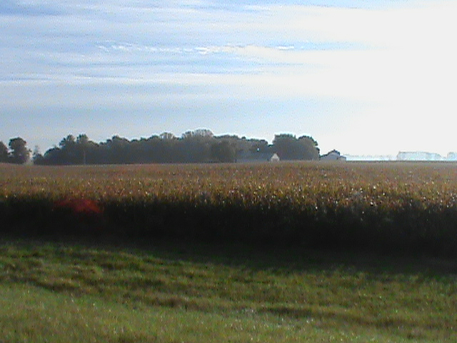 Overlooked Harvest